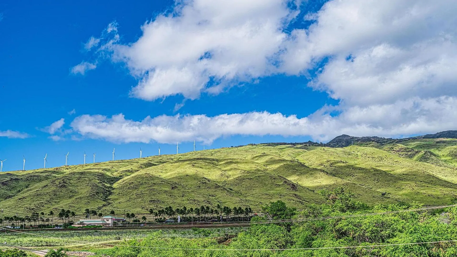 Maalaea Banyans 411 - Direct Ocean Front, Ac Villa Wailuku 0*,  United States