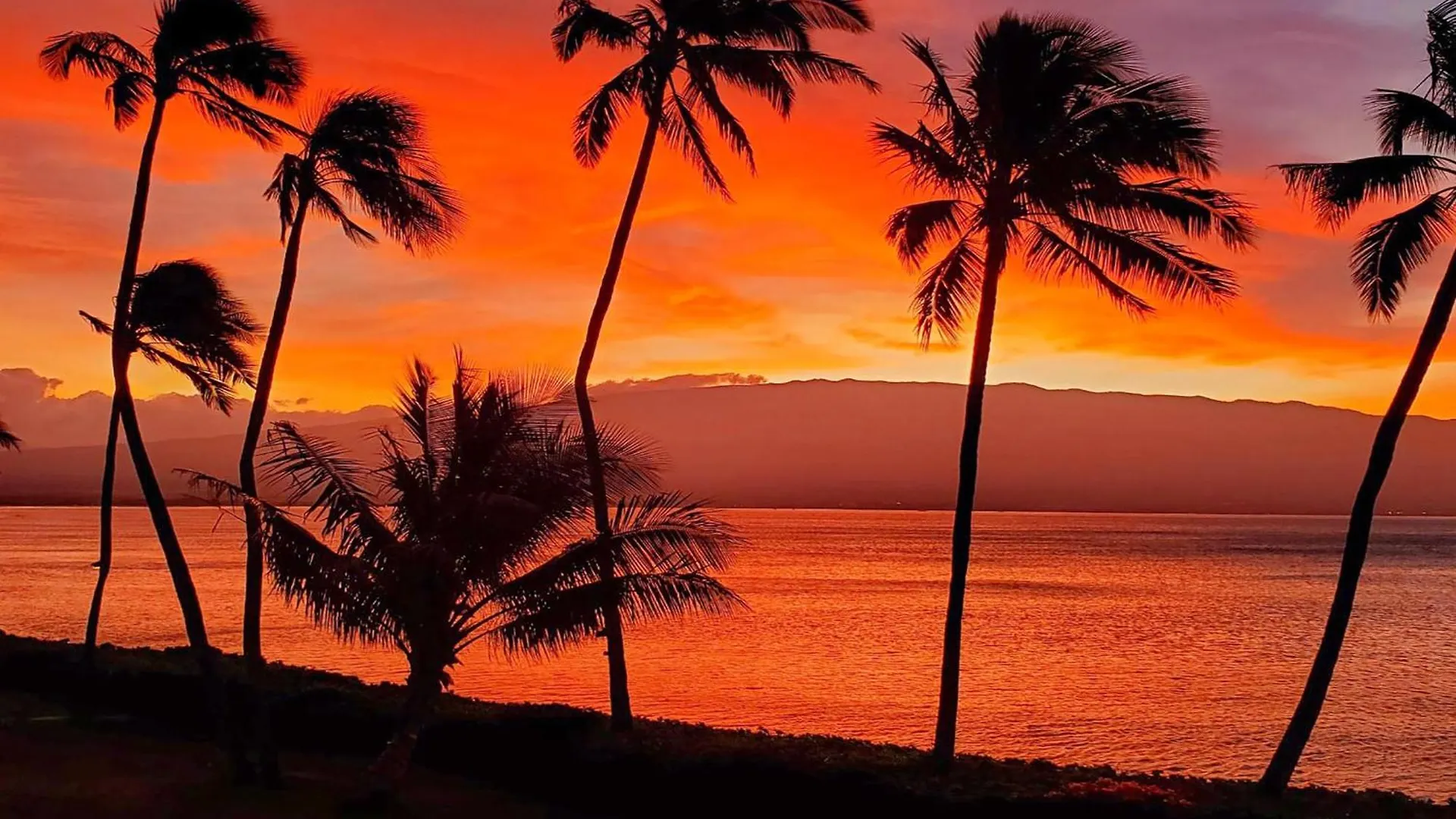 Holiday home Maalaea Banyans 411 - Direct Ocean Front, Ac Villa Wailuku United States